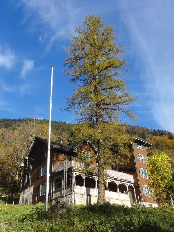 Moho-Heimschliessung-2014-34